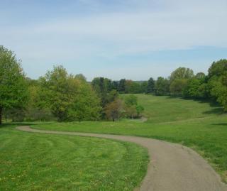 amberley-green